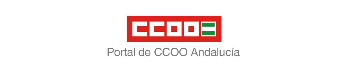 Cabecera web